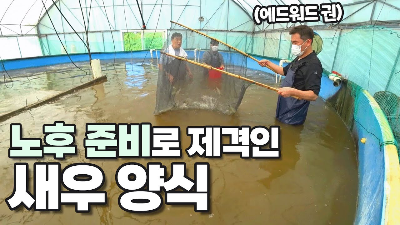 4달마다 새우가 200kg? 본업천재 에드워드 권이 노후 준비로 하기로 한 새우 양식!