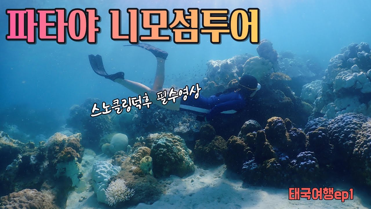 태국여행ep1 🇹🇭  파타야 니모섬투어