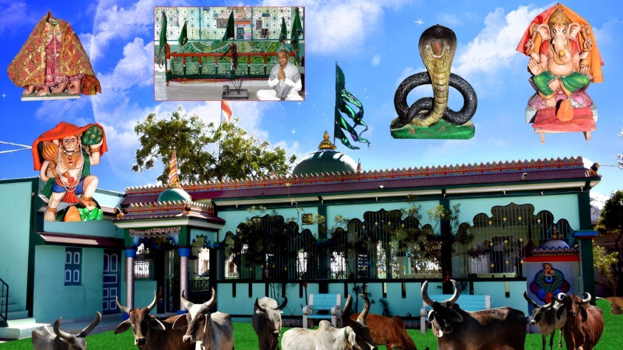 Shree Madad  Dada Yatra Mahotsav 2020 ( Shobhayatra) 22-02-2020