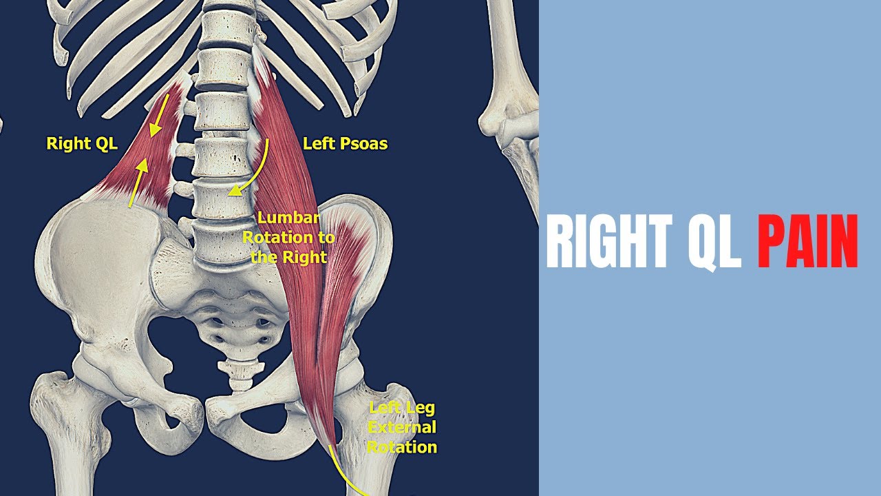 Quadratus Lumborum and Left Psoas Stretches for Pelvic Tilts