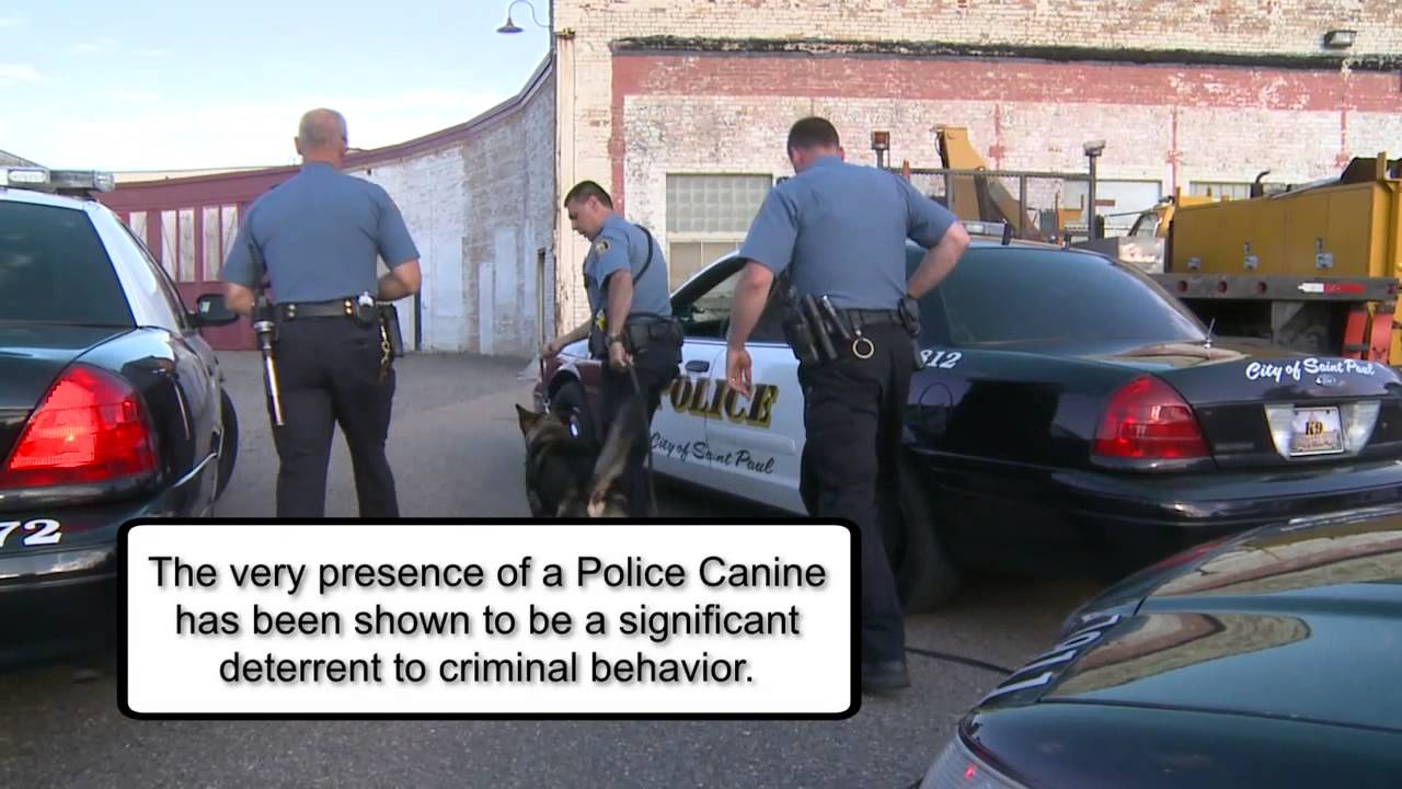 St. Paul Police K9 Foundation Pop-Up video