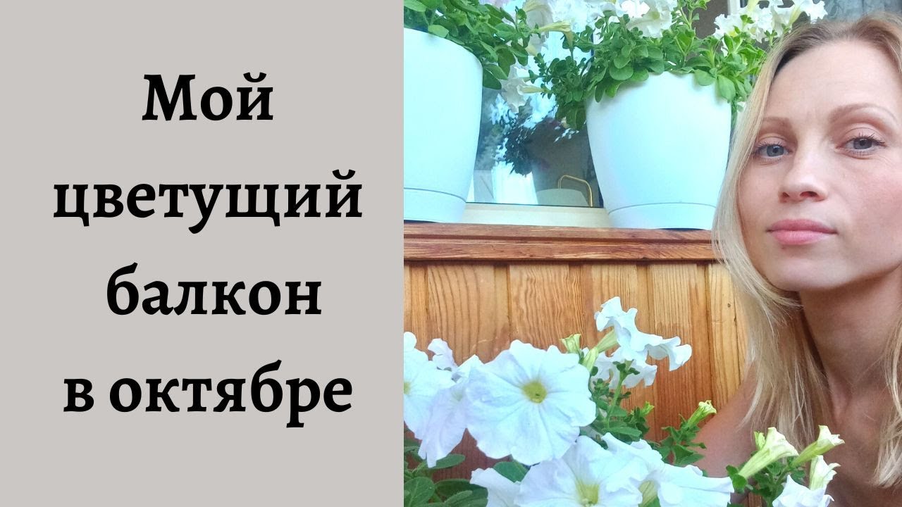 Мой цветущий балкон в октябре, 2022г.