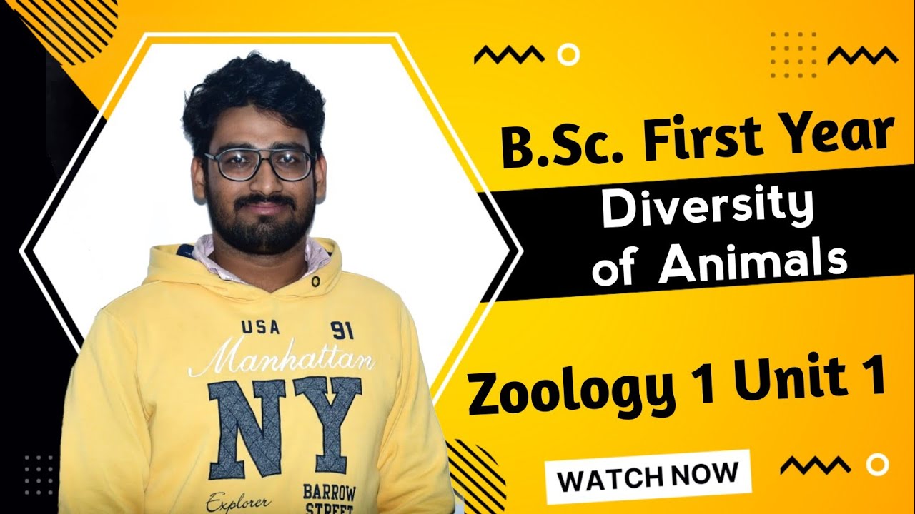 Diversity of Animals | B.Sc. First Ye | Zoology 1 Unit 1 Lecture 1
