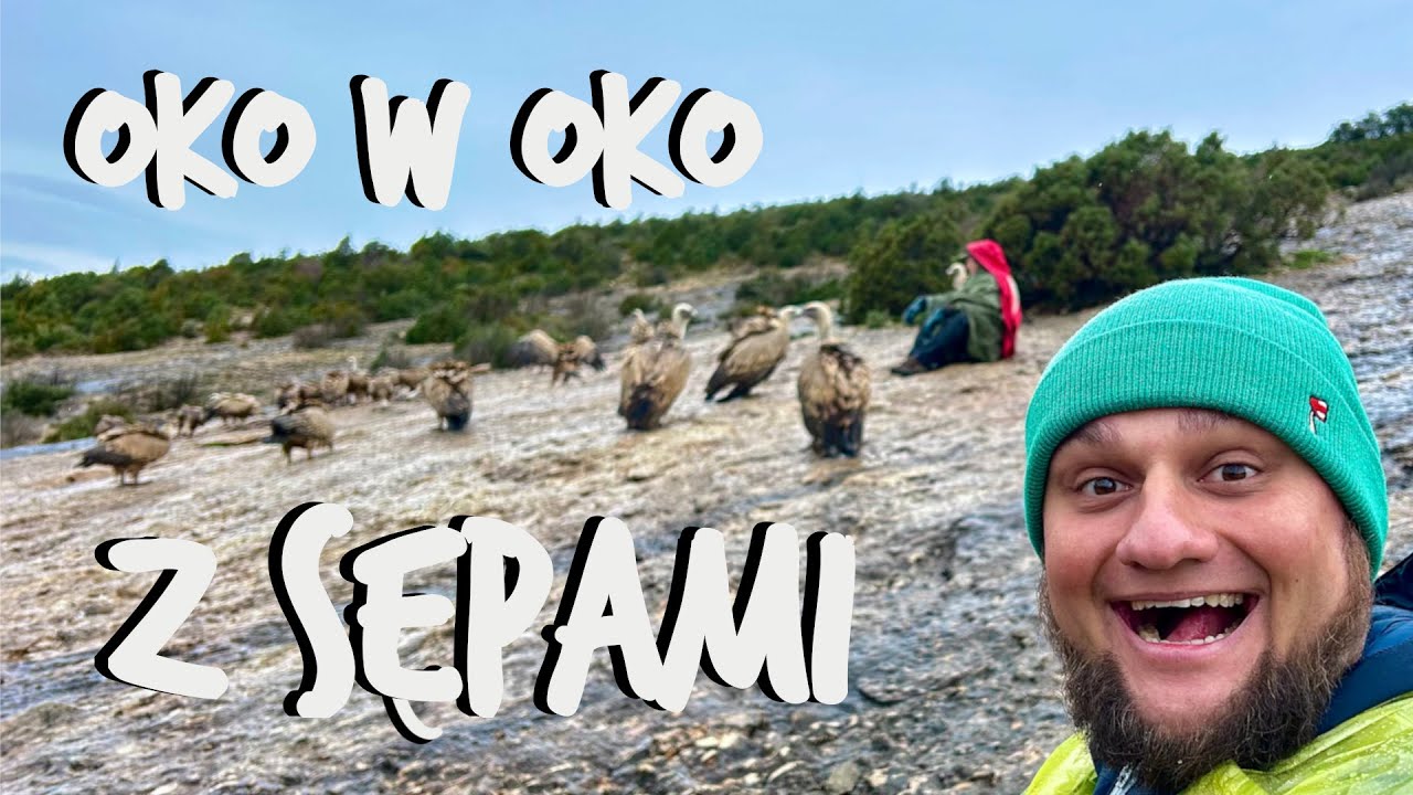 Niesamowita Hiszpania: Stanąłem Oko w oko z sępami 🦅 i poznałem ich obrońcę. Pireneje zamiast plaży😜