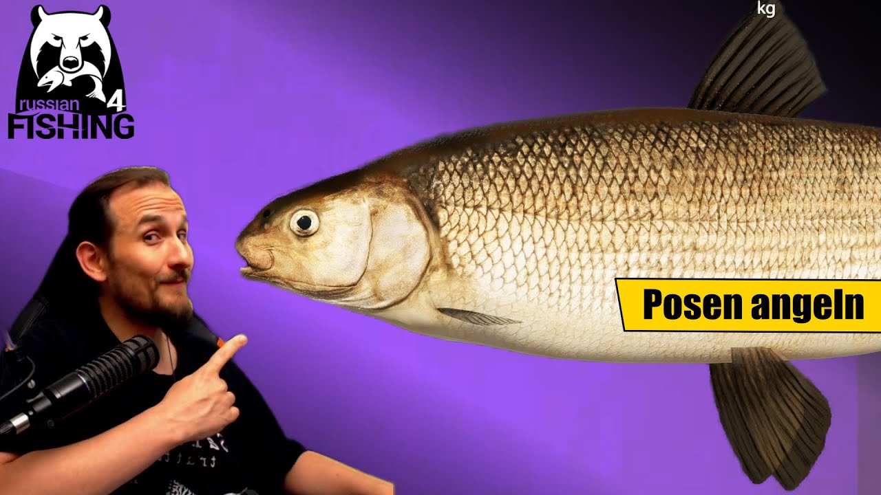Russian Fishing 4 - Tunguska - Große Bodenrenken auf großer Pose, Matchrute, Matchmontage