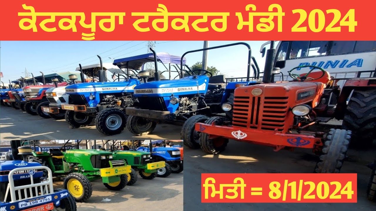 Kotkapura tractor Mandi कोटकपूरा ट्रैक्टर मंडी #tractor #5911   8January 2024