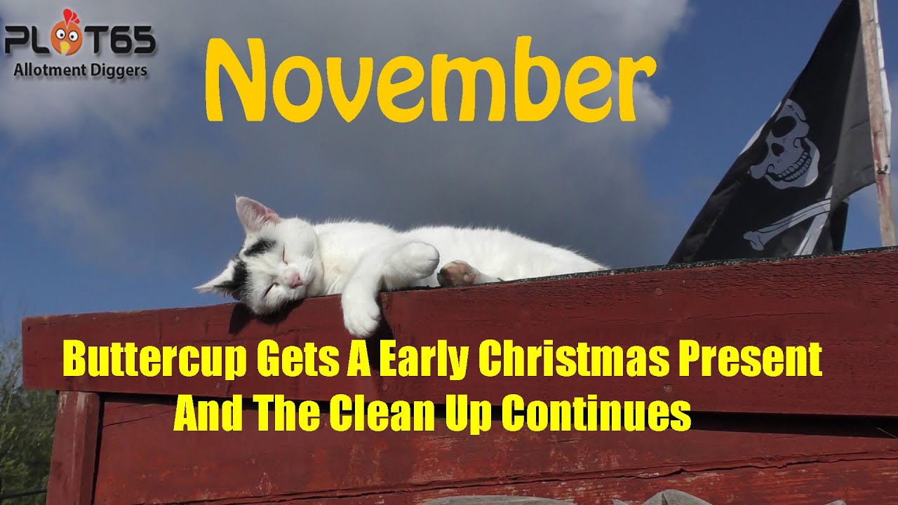 Buttercup Gets A Early Christmas Present And The Clean Up Continues
