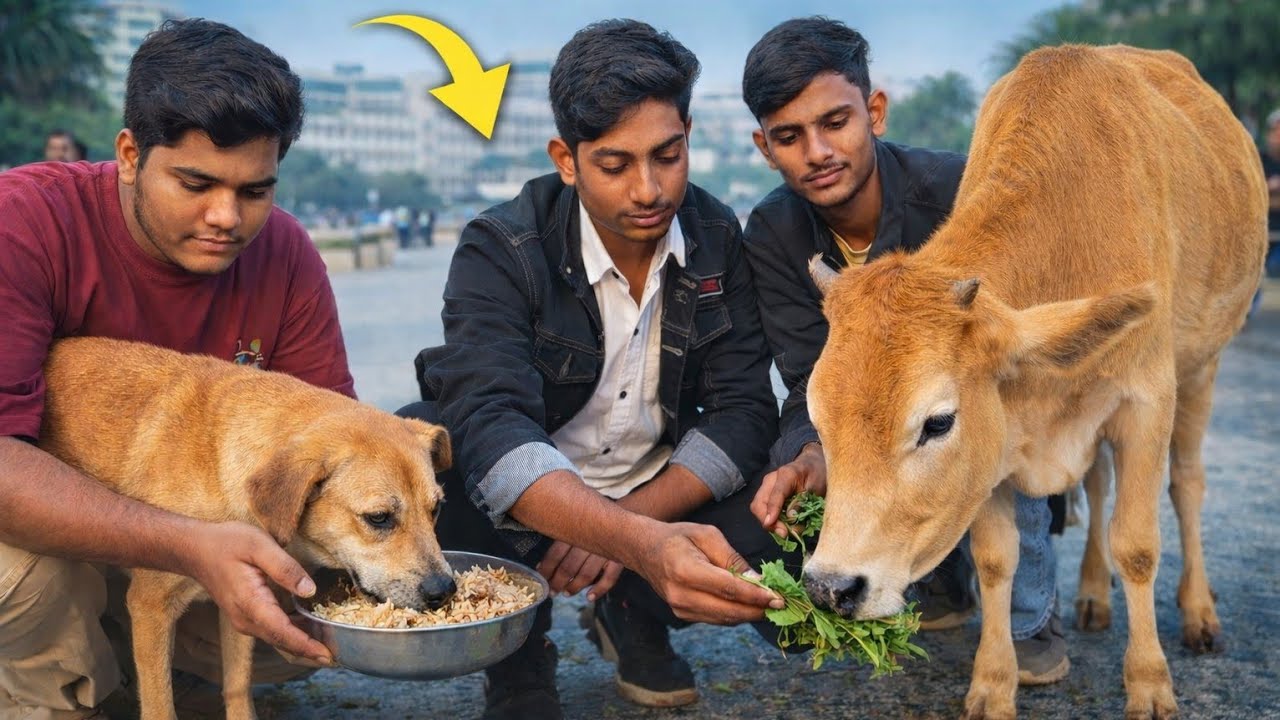 बेजुबानों की सेवा की 🐄🐕#vlog #studentlife #cow #dog 