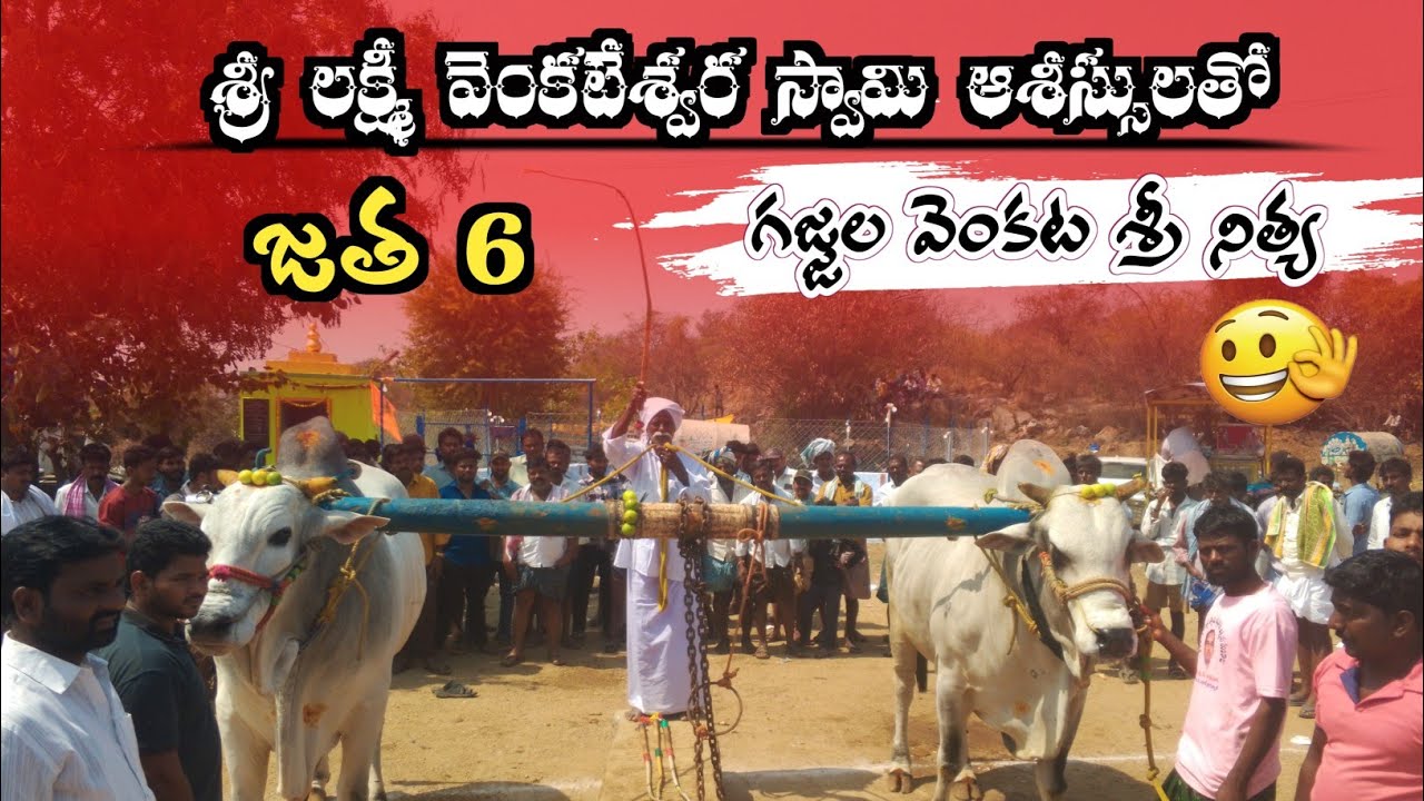 2026💥 జత- 6 🐂 Sri Pedda kadirappa Swamy Konda 🙏 న్యూ Category విభాగం 