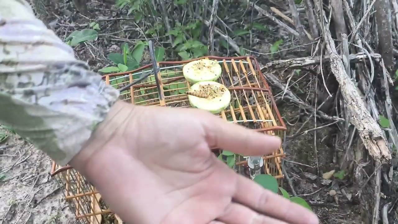 𝙰𝚣𝚞𝚕𝚊̃𝚘 𝙲𝙿𝙰𝙲 👨‍✈️