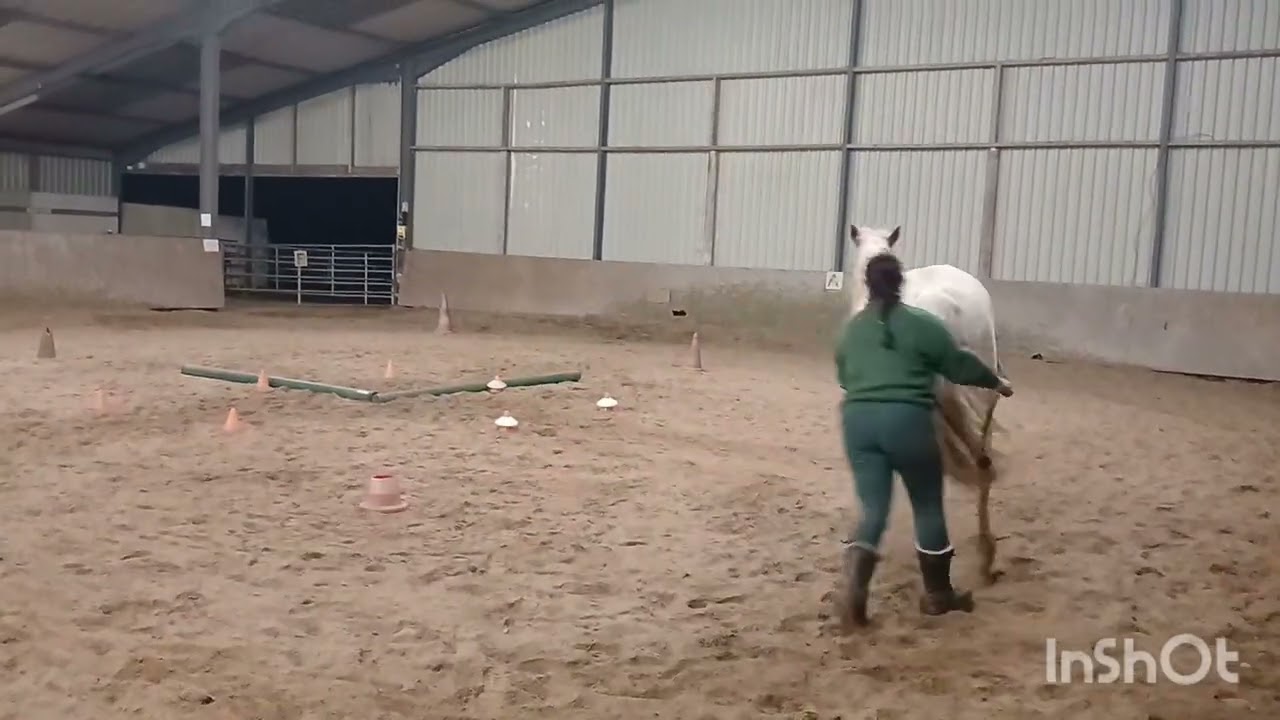 Mélanie et cheyenne de ruillé equifeel 26 longues-rênes manche 1 