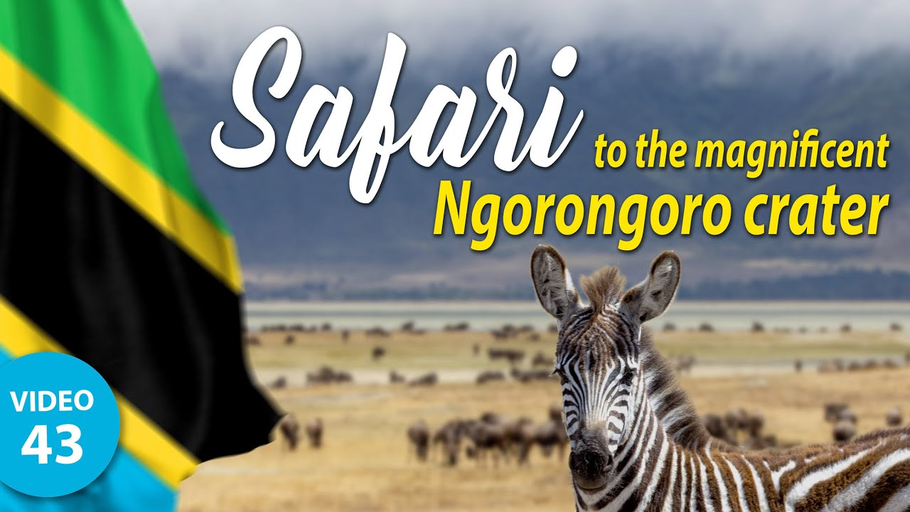 Amazing SAFARI to Ngorongoro crater in Tanzania - part one