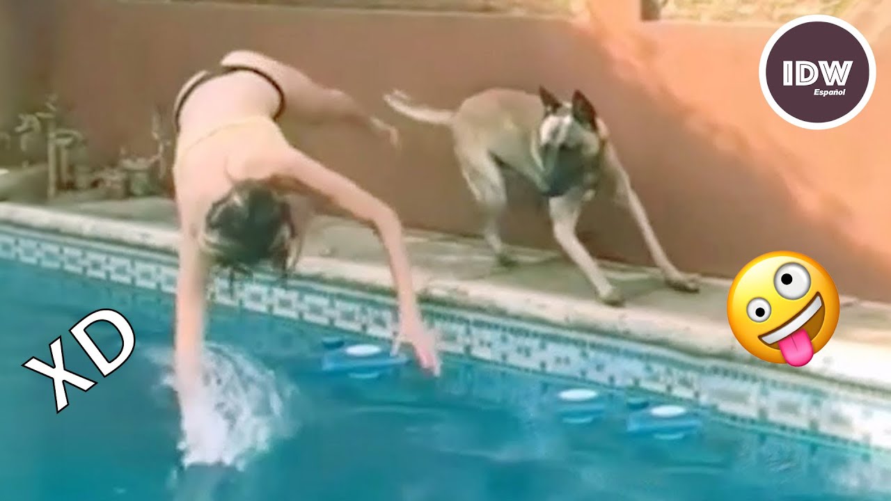SI TE R&Iacute;ES PIERDES NIVEL DIOS #200 🤣 VIDEOS DE RISA MUY GRACIOSOS 2025😆