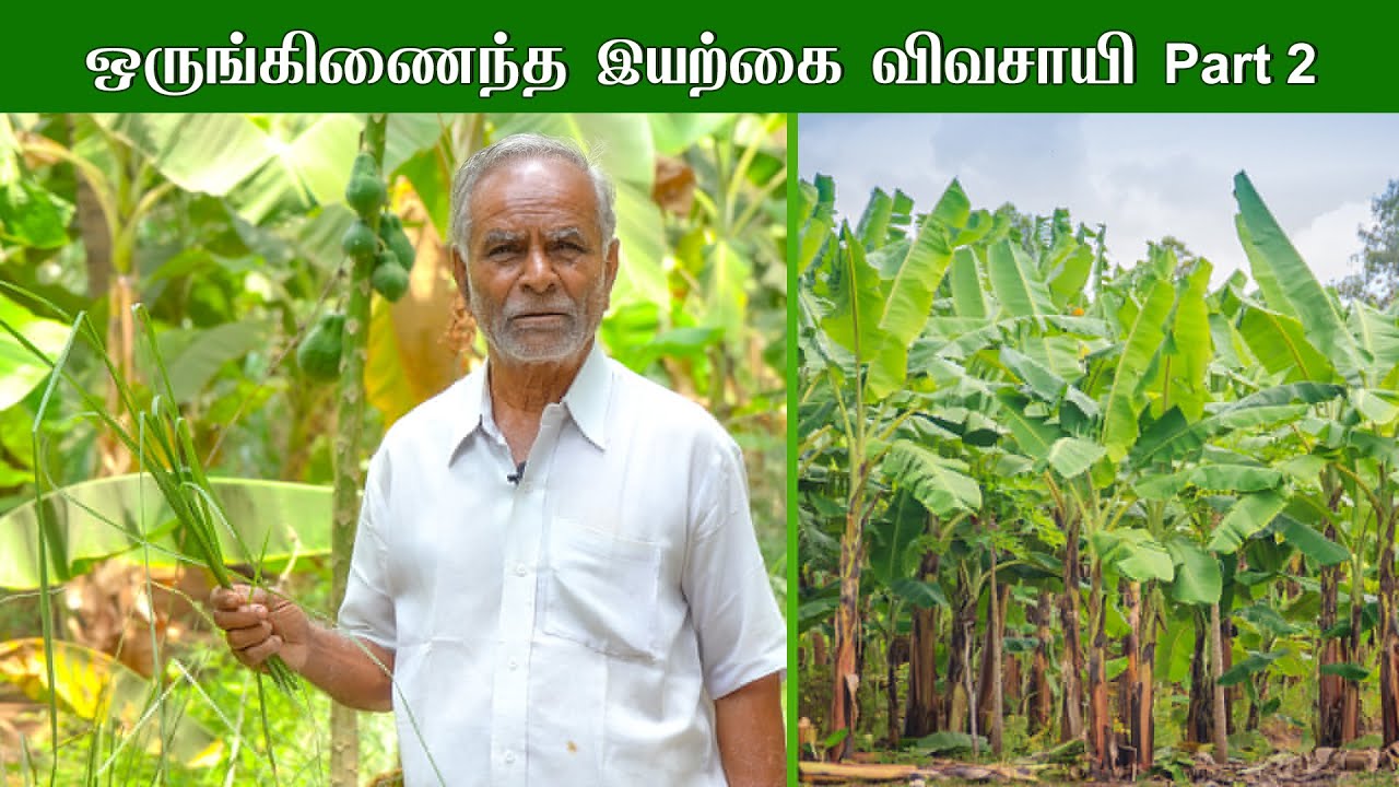 #integratedfarming ஒருங்கிணைந்த இயற்கை விவசாயி | Successful Farmer Story - Part 2