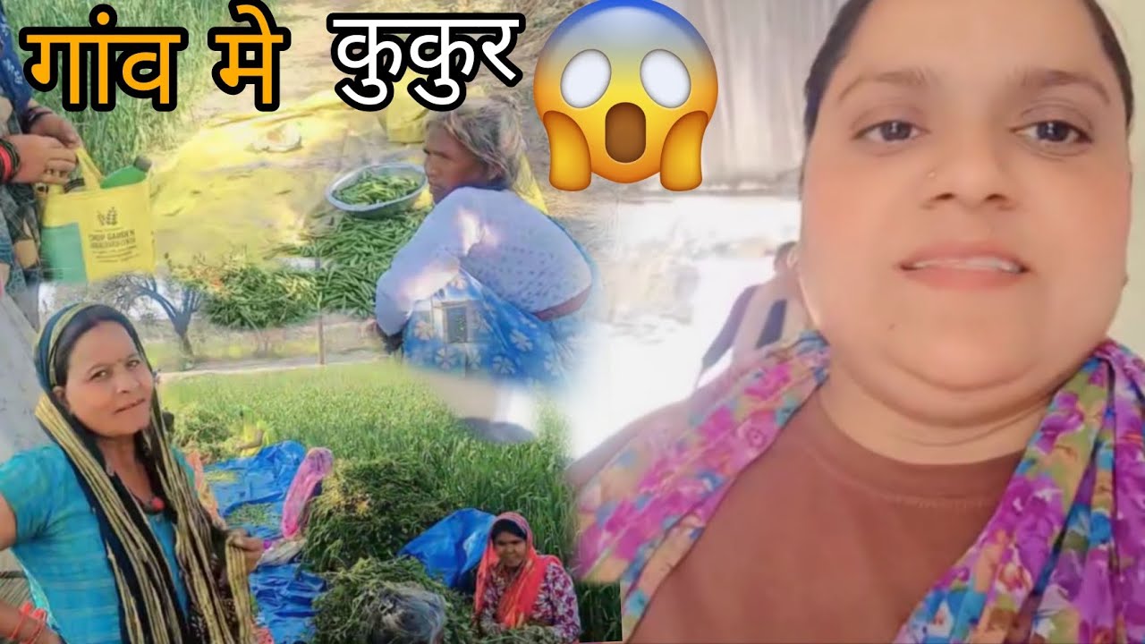 गांव के लोग Mushroom न कुकुर 😱 | gav ke log | khet me jana | #dailyvlog #minivlog #vlog #trending 