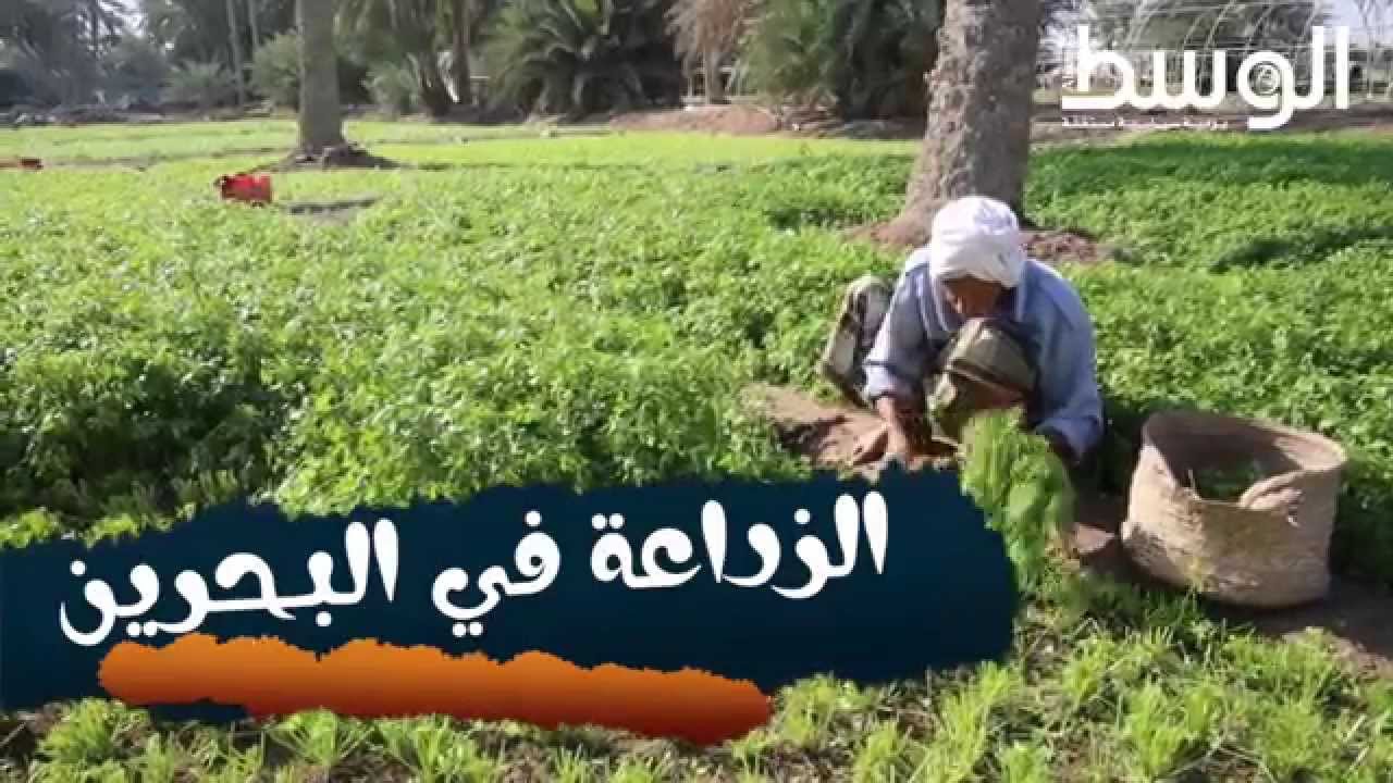 الزراعة في البحرين