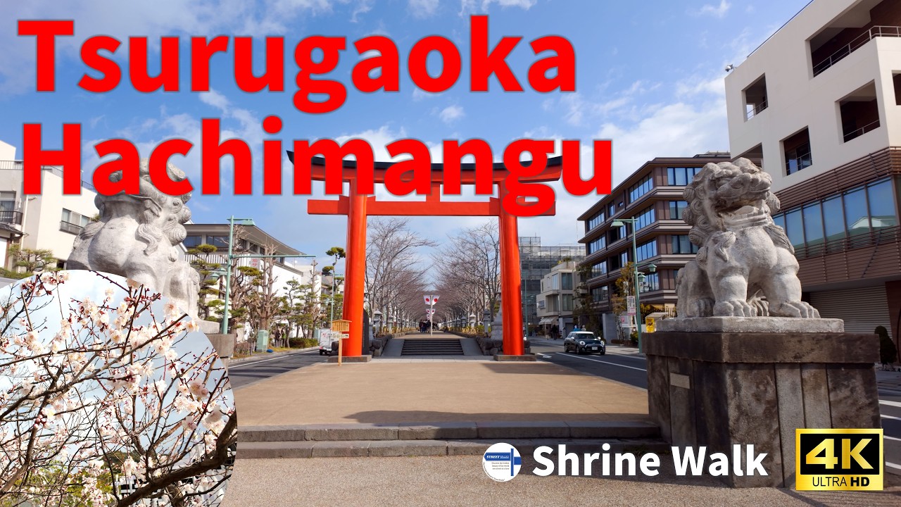 【 Finding Peace in Kamakura 】 A Walk through Tsurugaoka Hachimangu | Inari Shrine | 4K