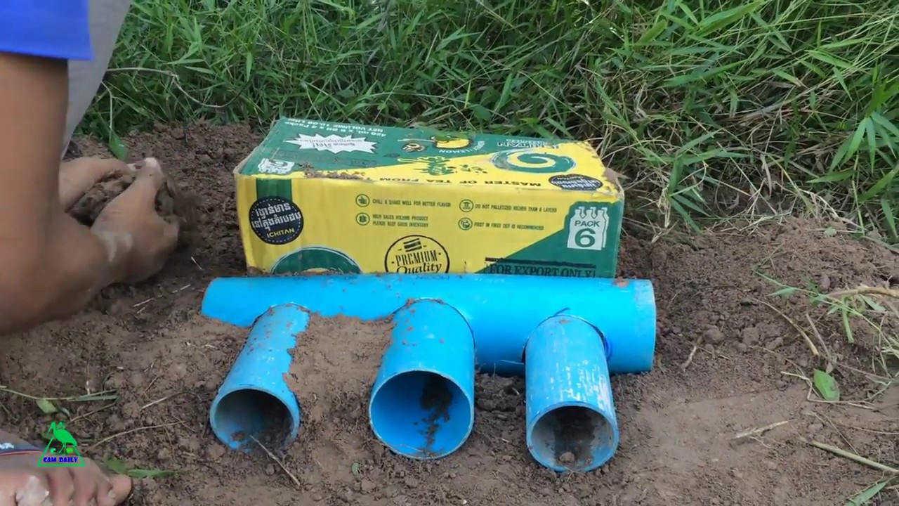 Awesome Quick Bird Trap & Easy Deep Hole Using PVC And Case Paper -  Easy Best Quail Traps Work 100%