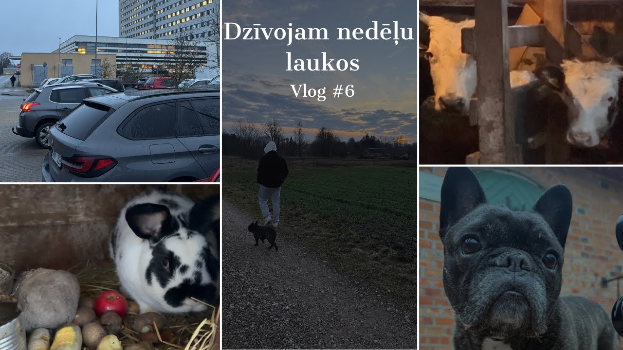 Dzīvojam Nedēļu Laukos