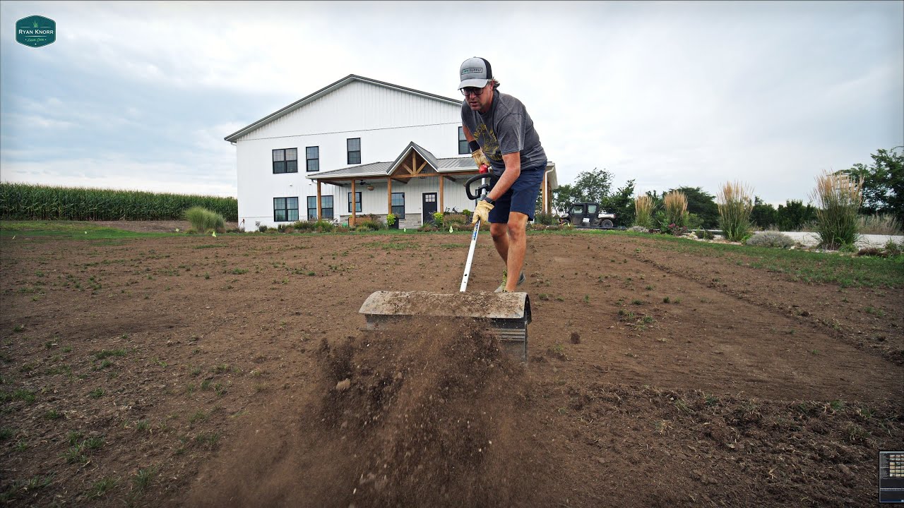 Removing EXTREME Thatch + Bluegrass Tiny Lawn Update