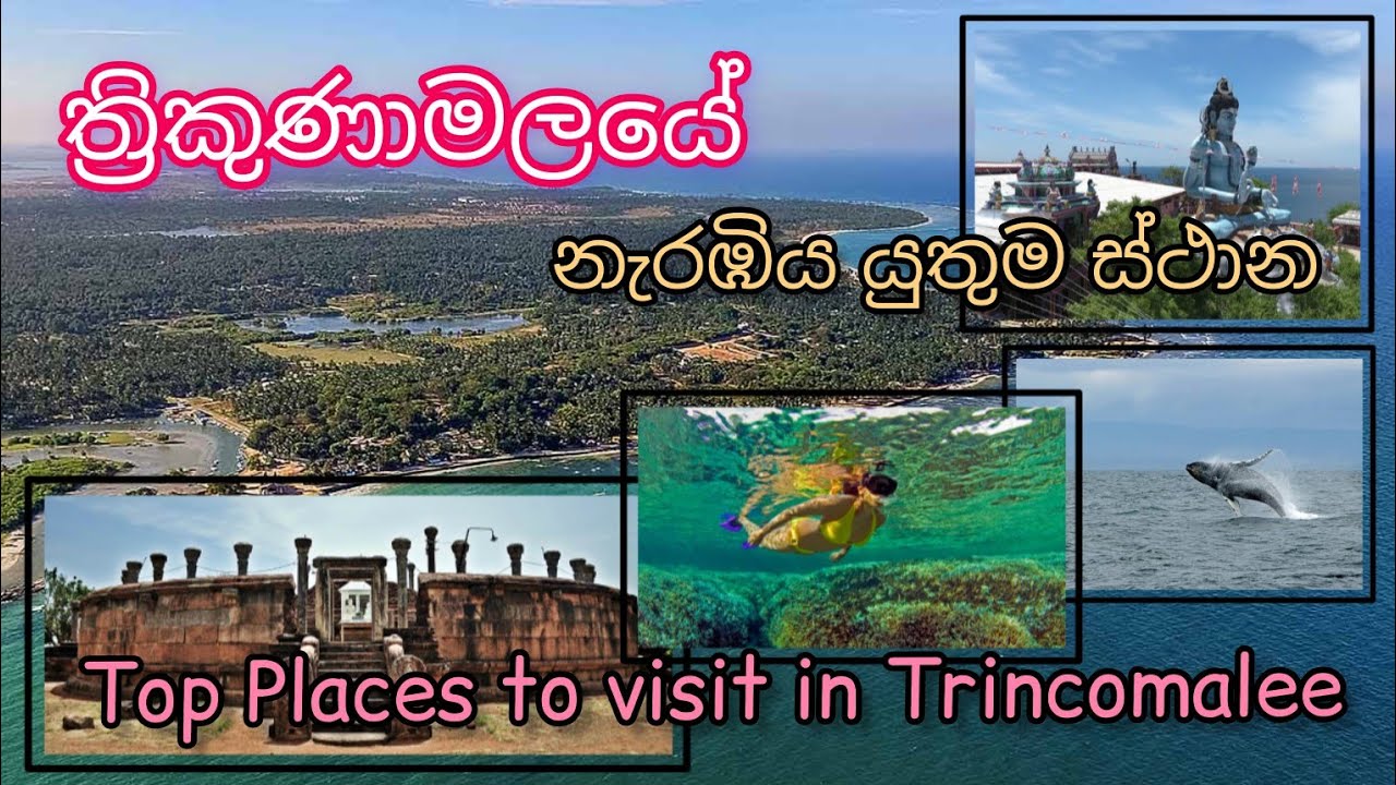 ත්‍රීකුණාමලයේ යනවනම් මේ තැන් බලන්න අමතක කරන්න එපා..Top places to visit in Trincomalee, Sri Lanka
