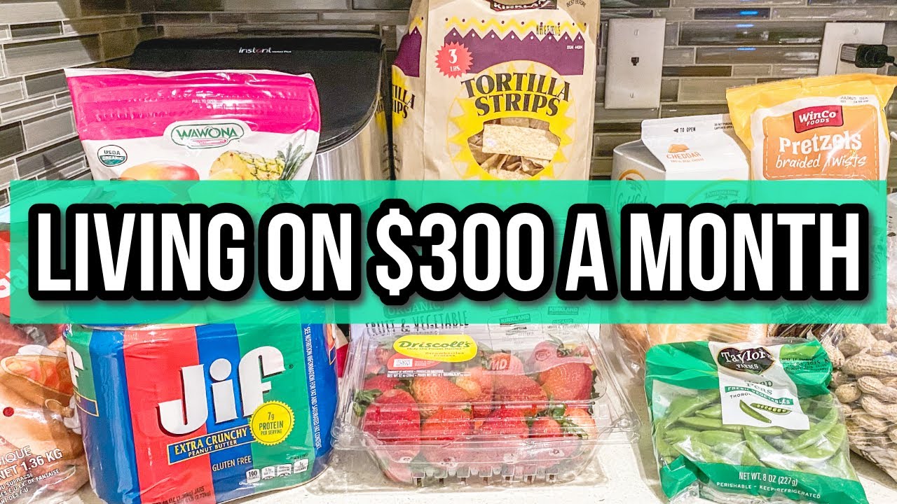 MONTHLY GROCERY SHOPPING FOR A FAMILY OF 4 | Budget Grocery Haul 2025