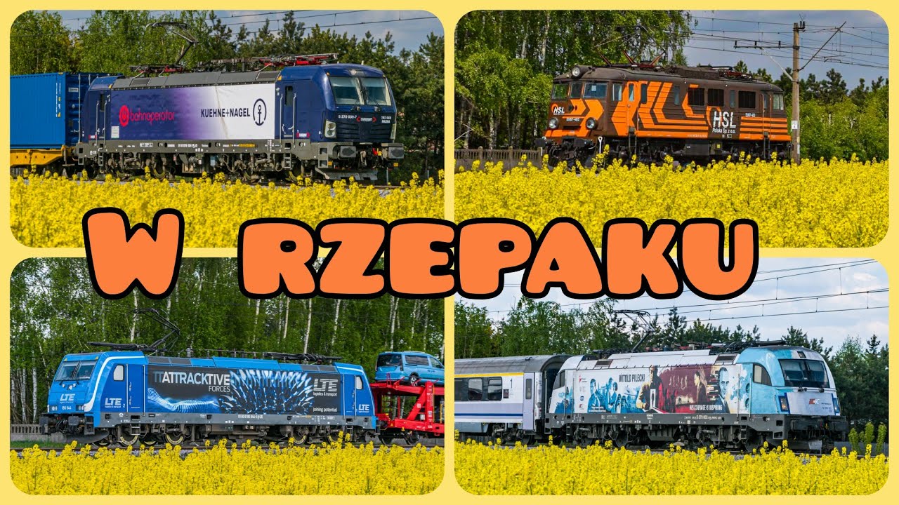 Pociągi w rzepaku na E20 | Dopiewo