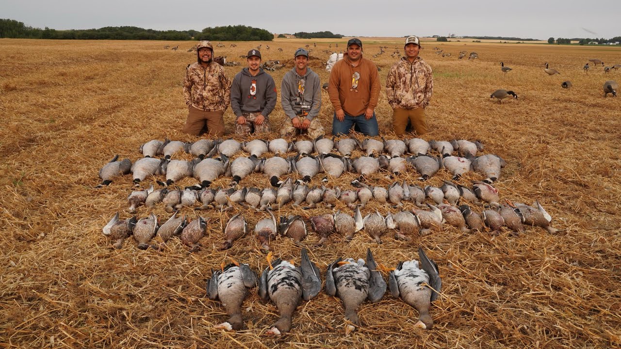 EPIC duck & goose Hunting with 