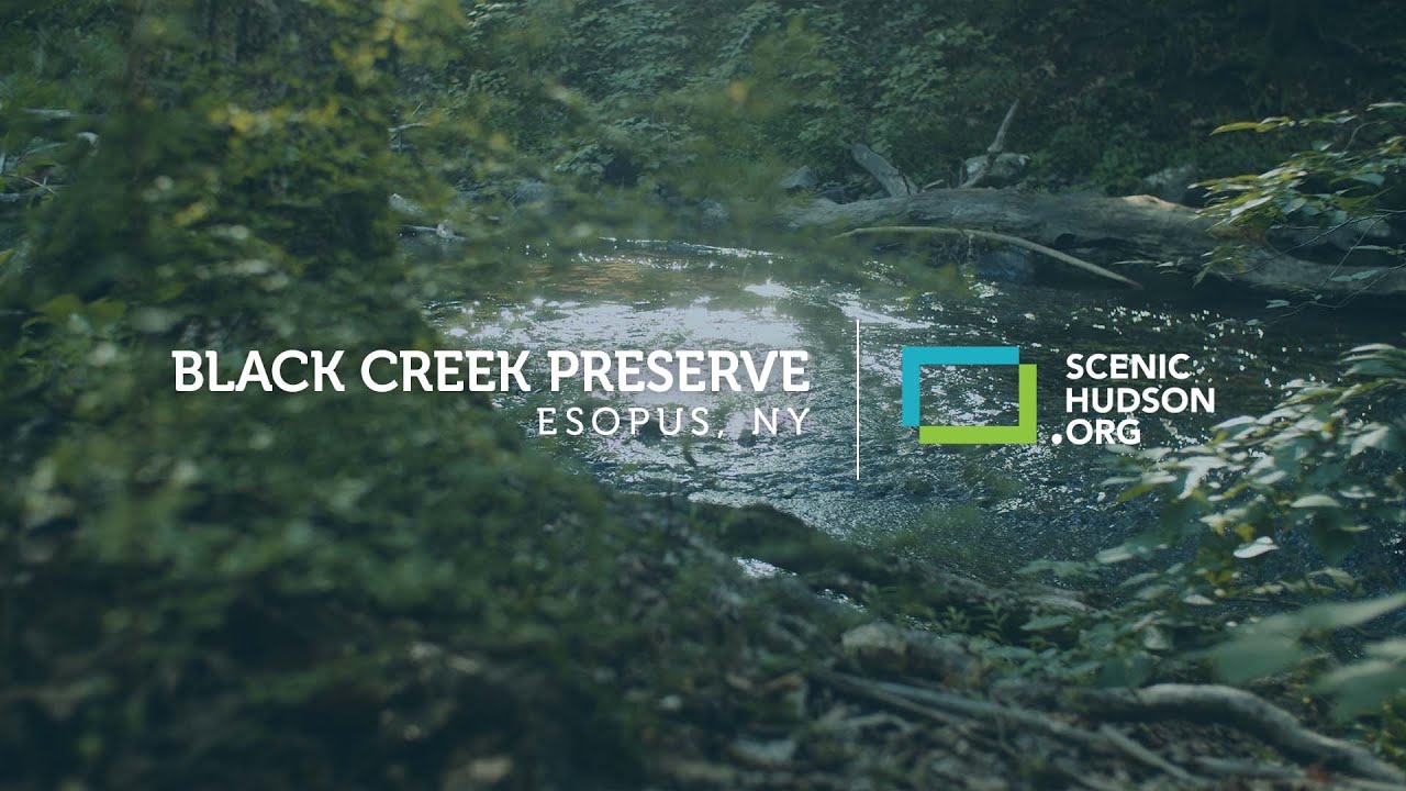A visit to Black Creek Preserve in Esopus, NY