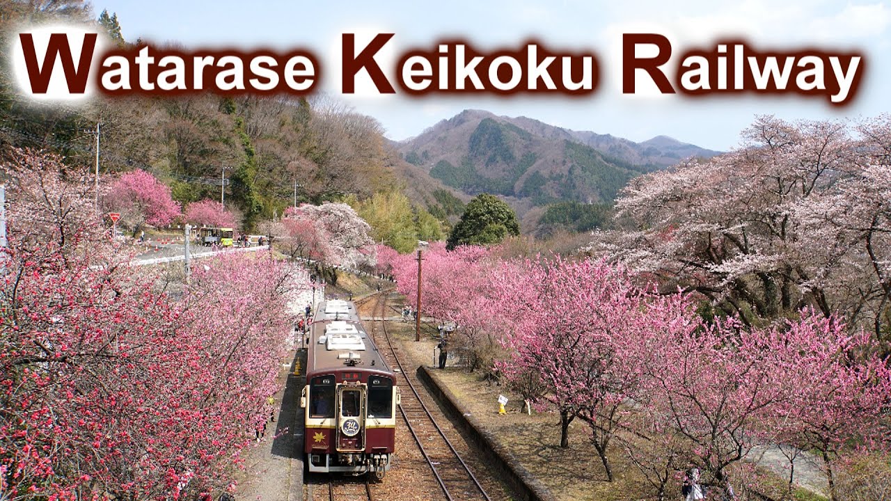 Watarase Keikoku Railway - わたらせ渓谷鐵道