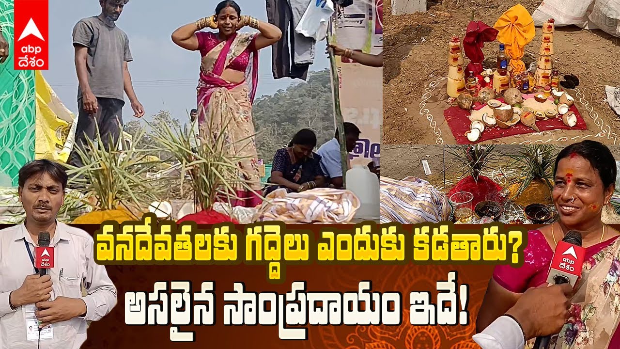 Building 'Gaddelu' in Medaram Jatara 2026 | మేడారంలో వినూత్న రీతిలో భక్తుల పూజలు | ABP Desam