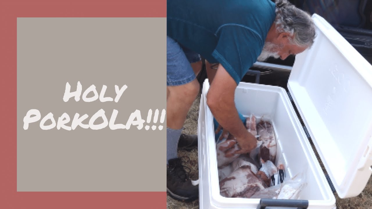 We Bought A Hog?!! | Beginner Homesteading