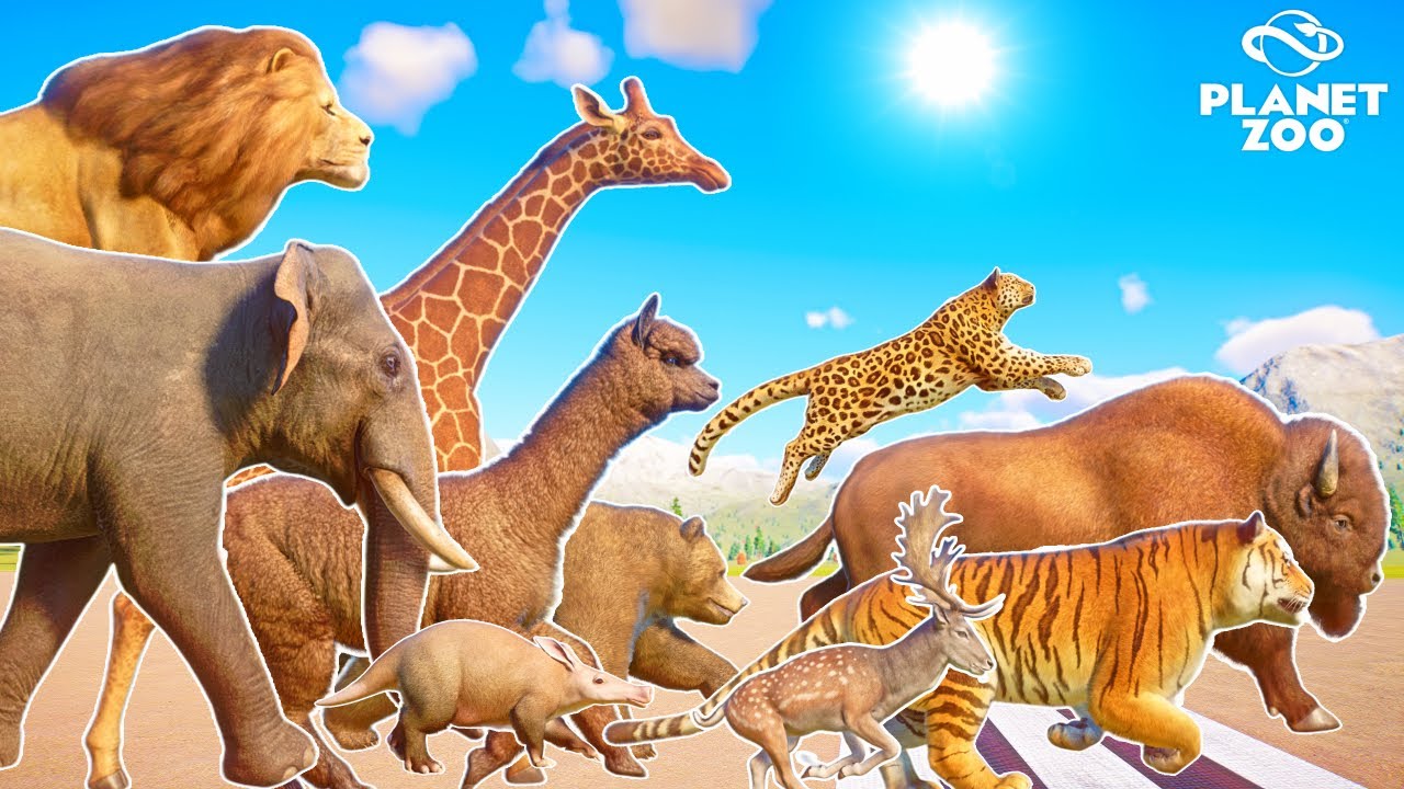 50+ Animals Mega Running Race in Planet Zoo, which animal will be the fastest?