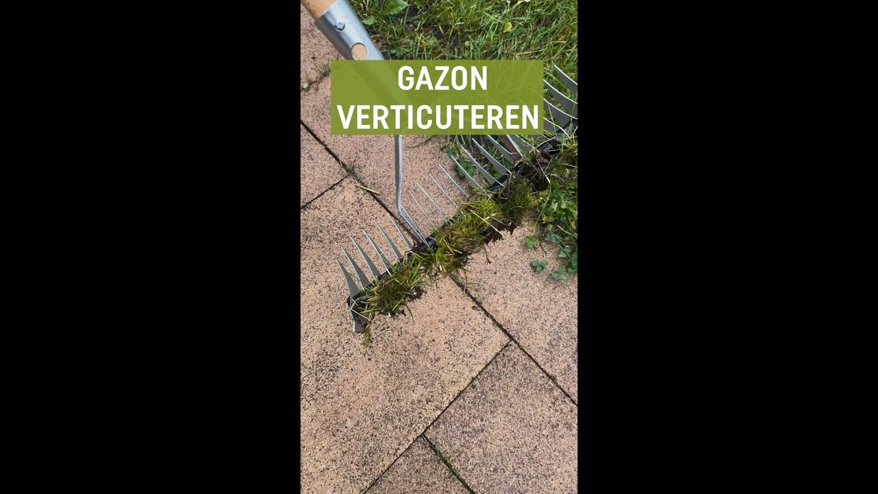 Hoe kun je jouw gazon verticuteren?
