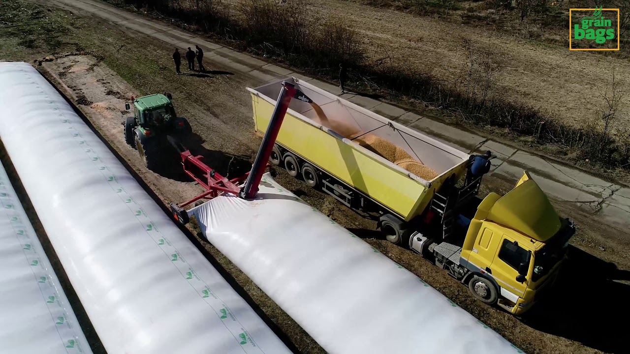 Porumb extras din silobag, la RDF - Arad