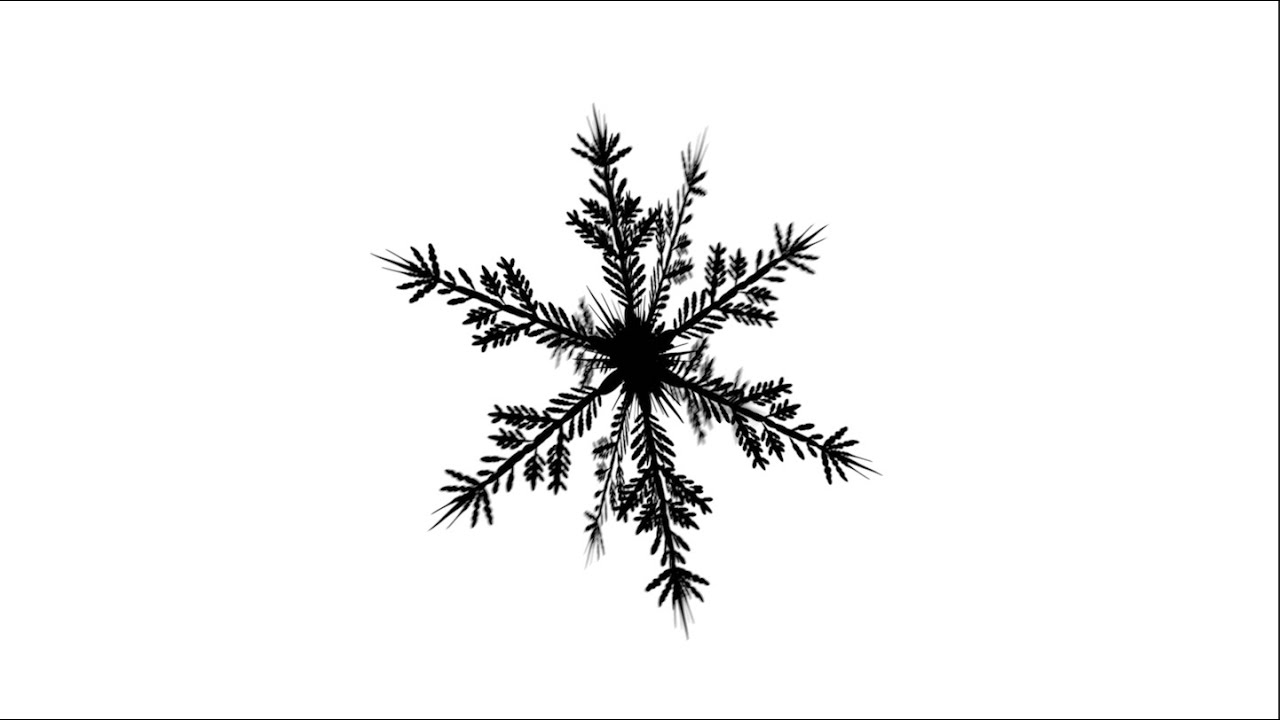 The Snowflake