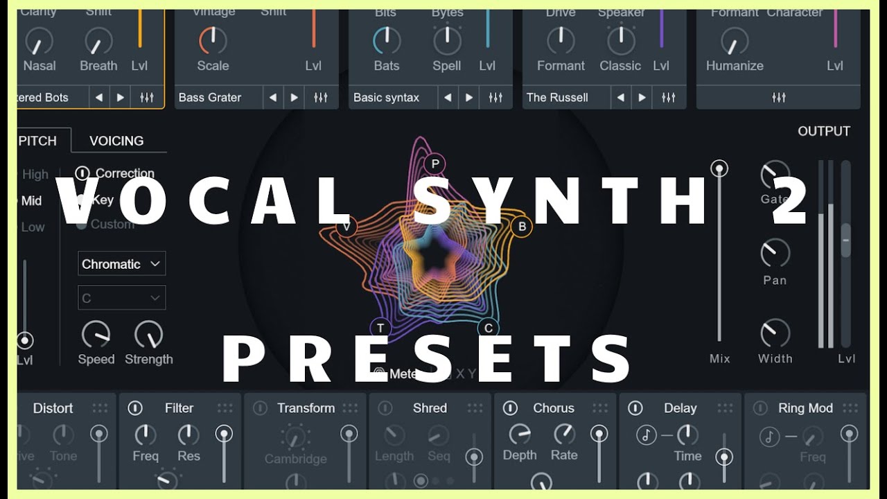 iZotope Vocal Synth 2 - Presets