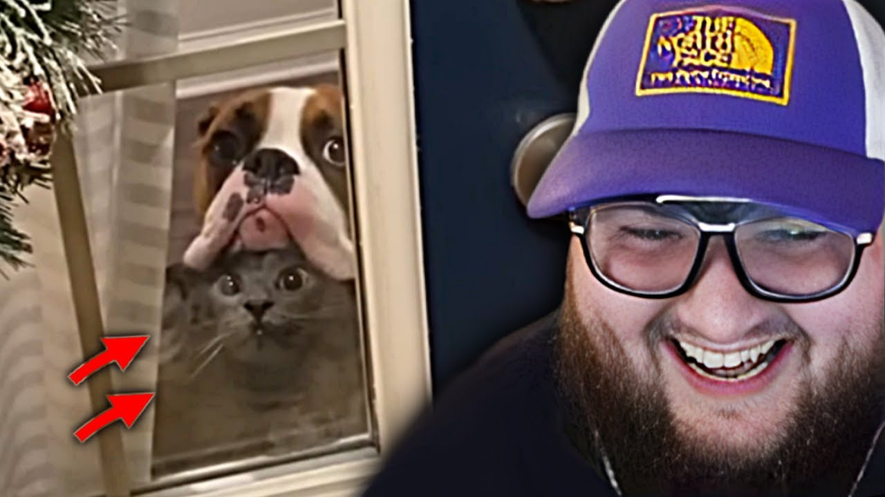 FattyPillow Reaguje na Vtipná Videa | Daily Dose Of Internet #11