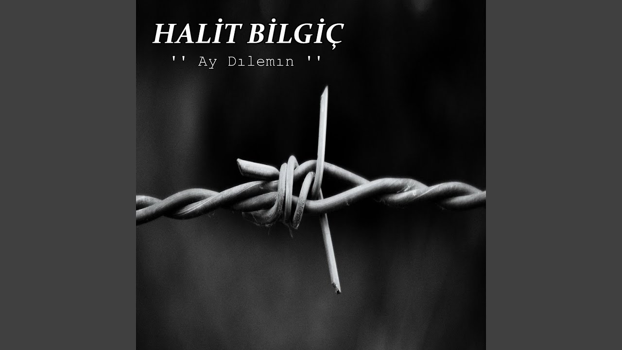 Ay Dılemın