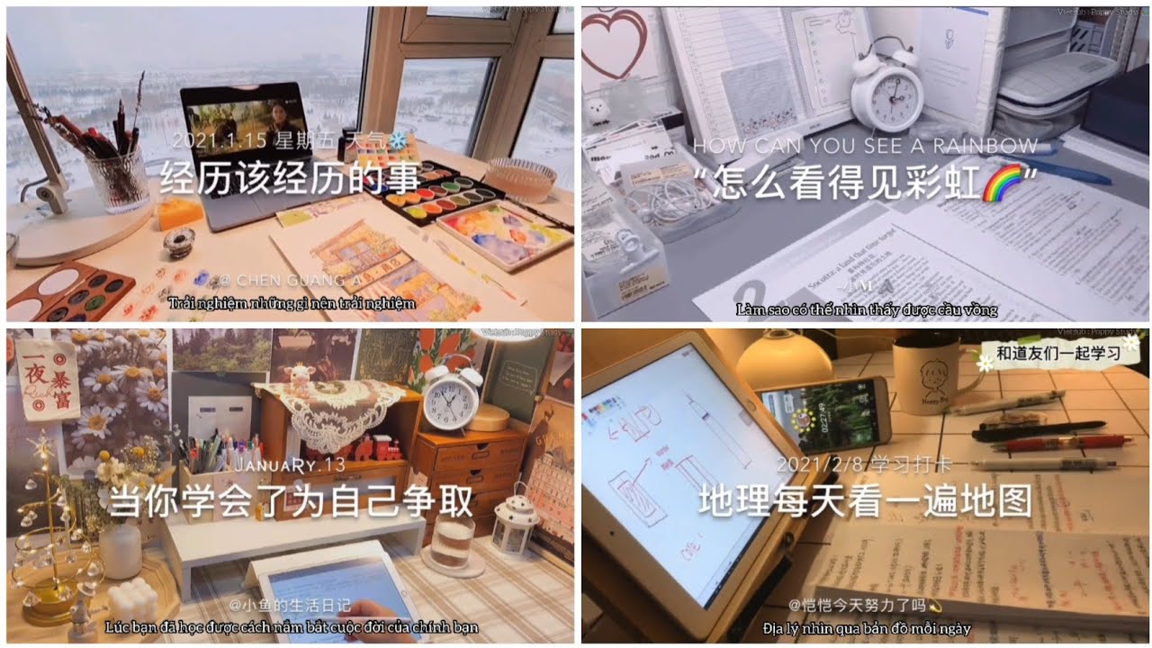 #26[ Study Account 💌 Vietsub ]|🌼 Tương lai sẽ thế nào, phải đi tiếp ta mới biết được 🌼|Poppy Study 📚