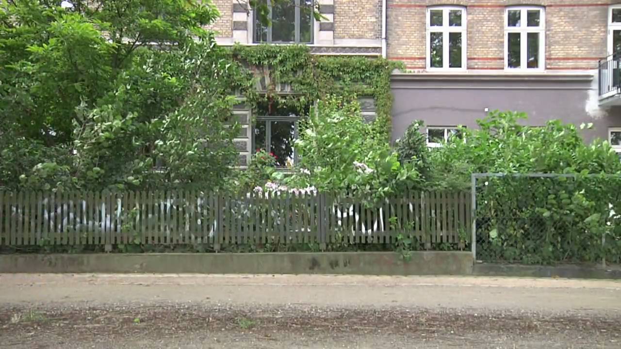 Footagte in-shot on Panasonic AG-HPX170 (DvcPro HD 50 fps)