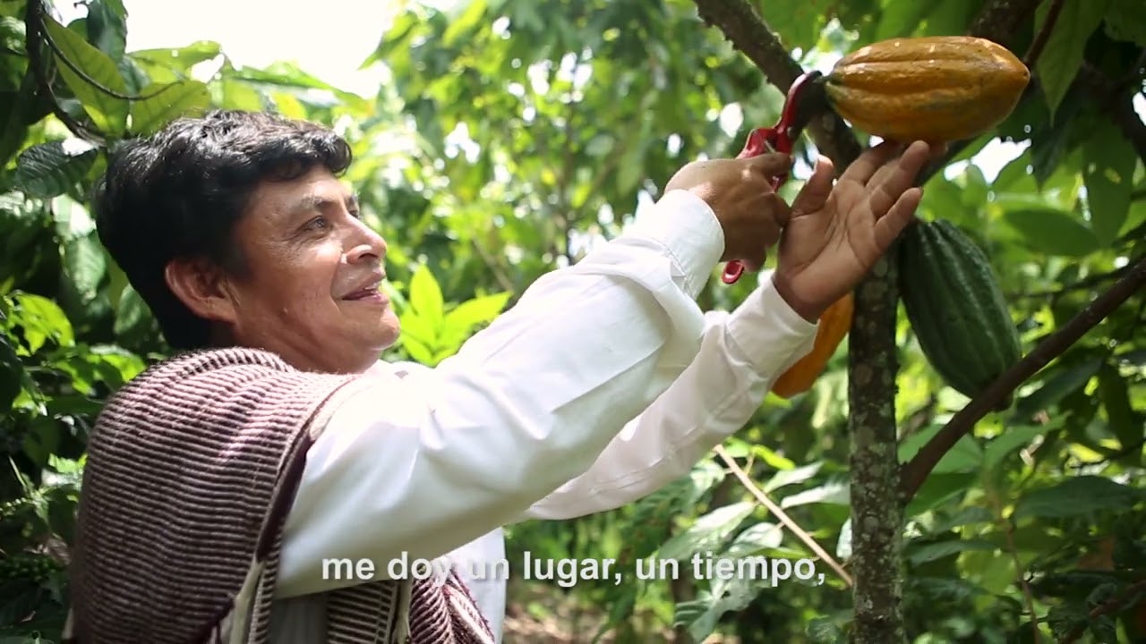 [Documental] NUGKUI. El espíritu del cacao