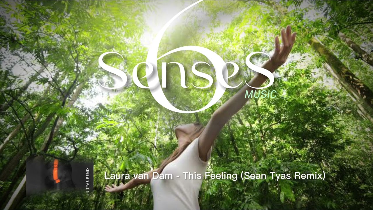 Laura van Dam - This Feeling (Sean Tyas Remix)