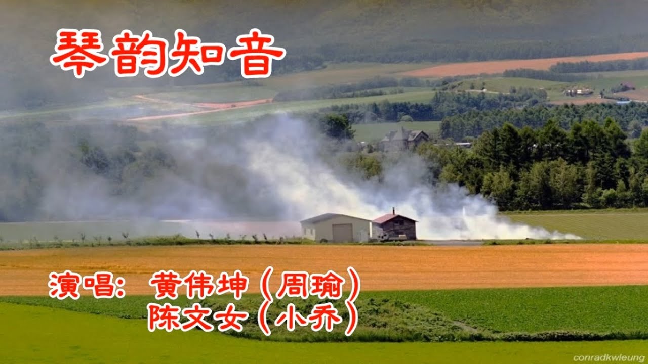 琴韵知音_黃偉坤 陳文女 演唱