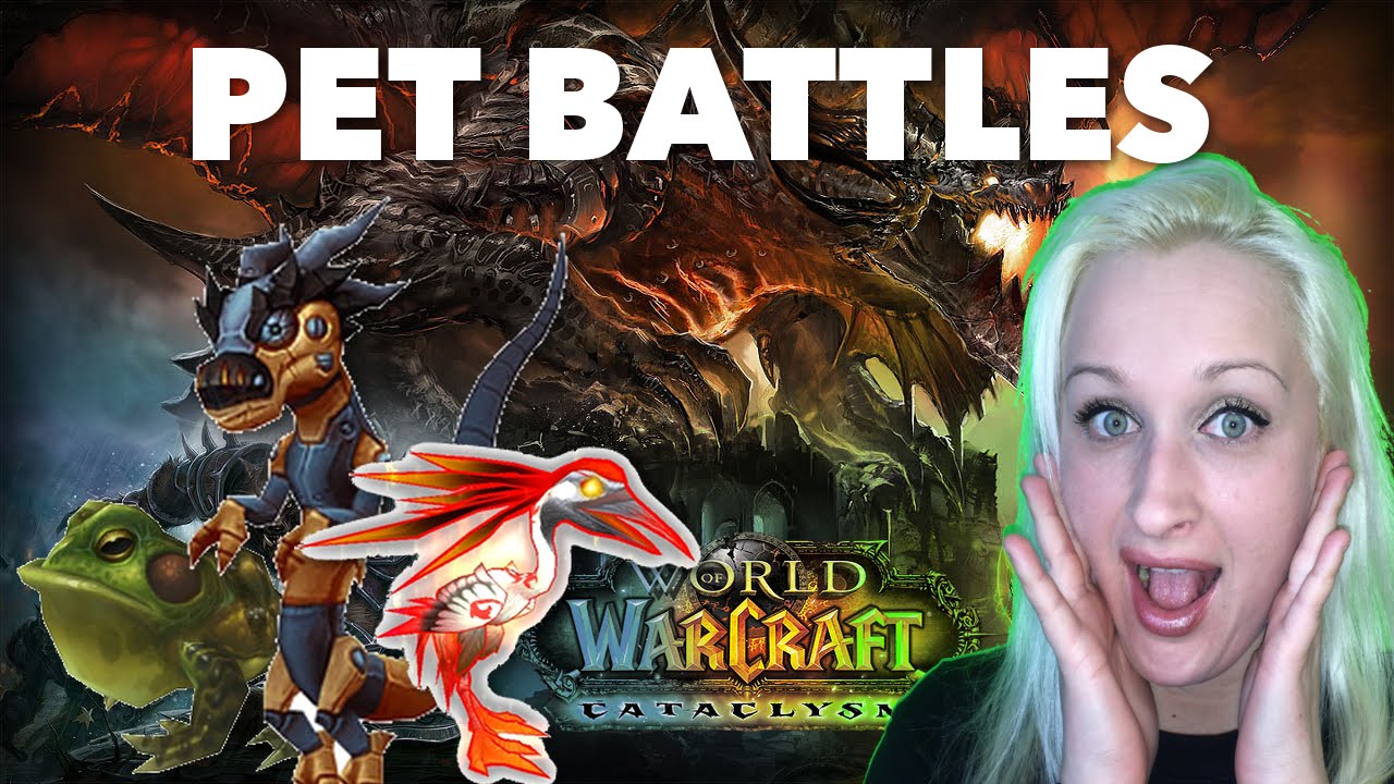 W.O.W. PET BATTLE!
