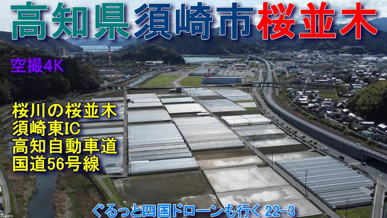 高知県須崎市桜並木　須崎港北の桜川の桜並木　高知自動車道　国道56号線　須崎市街地北部　【DJI Mini2】空撮4K　ぐるっと四国ドローンも行く22-3