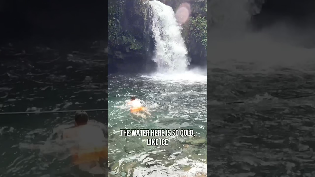 Swimming in Majayjay Falls (Taytay Falls) with Icy Cold Water #asmr #shorts #waterfall #satisfying