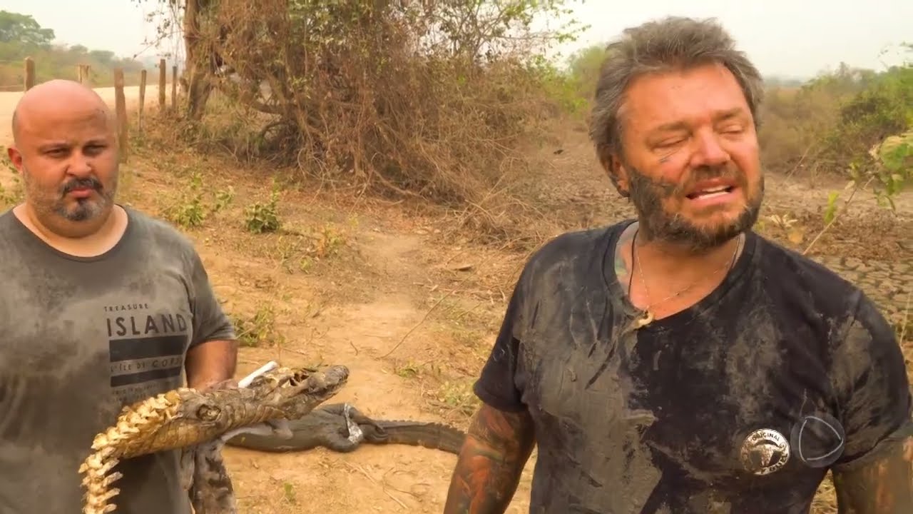 Biomas do Brasil: O polêmico caso dos resgates de jacarés no pantanal