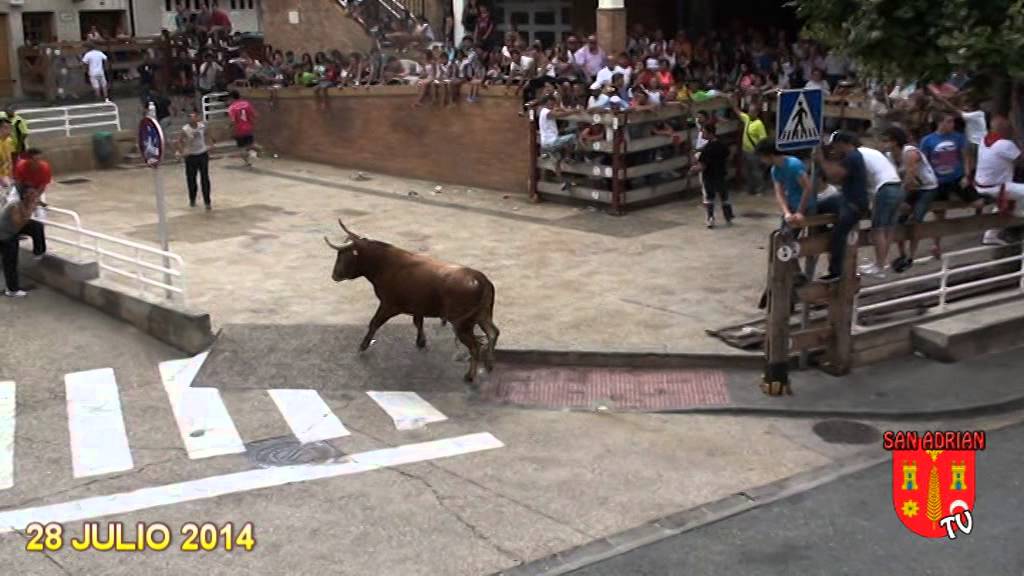 San Adrian 28  7 2 014 ENCIERRO TARDE