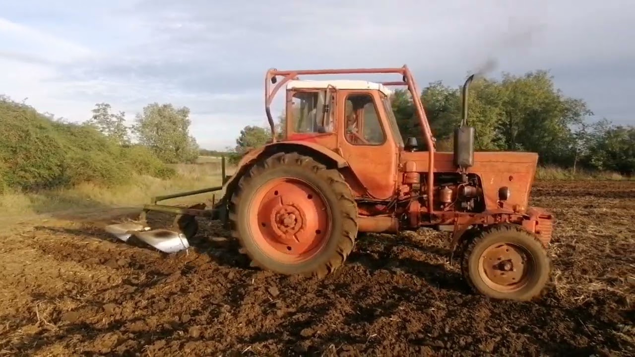 Mtz 50 szántás